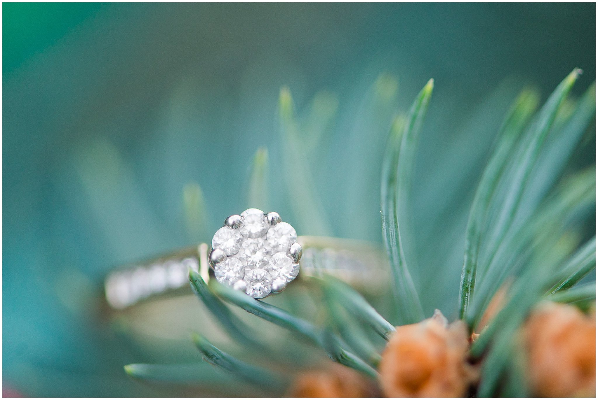 Christmas Inspired Engagement Photos